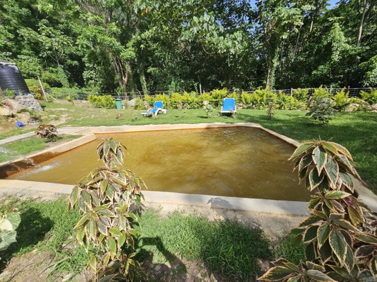 Bambooze Sulphur Baths Bambooze Sulphur Baths