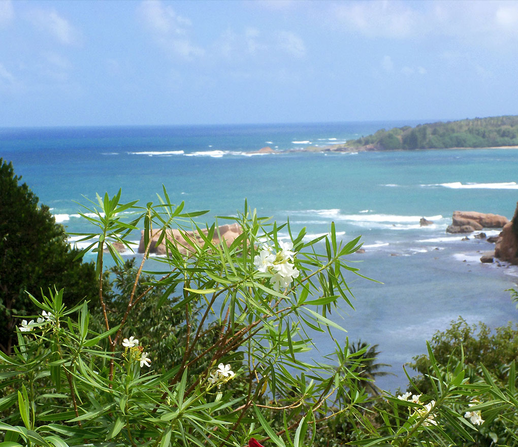 Sea Cliff Cottages Sea Cliff Cottages